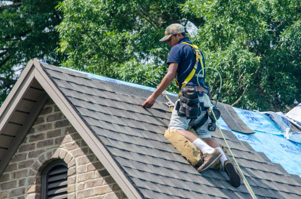 Best Roof Maintenance Services  in Ashtabula, OH